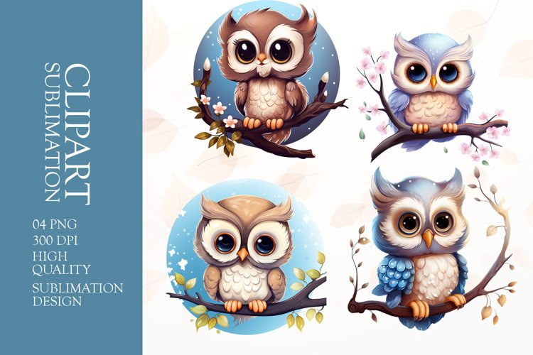 Owl Illustration Image 16
