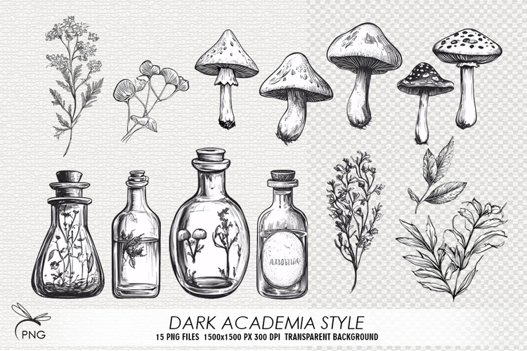 Mushrooms Png Image 13