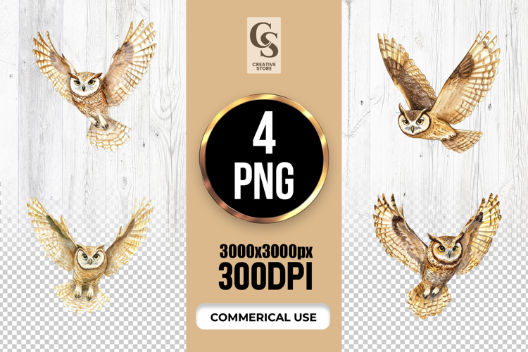 Flying Owl Watercolor Bird Clipart Sublimation PNG