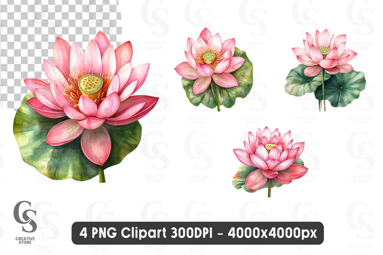 Lotus Flower Png Image 7