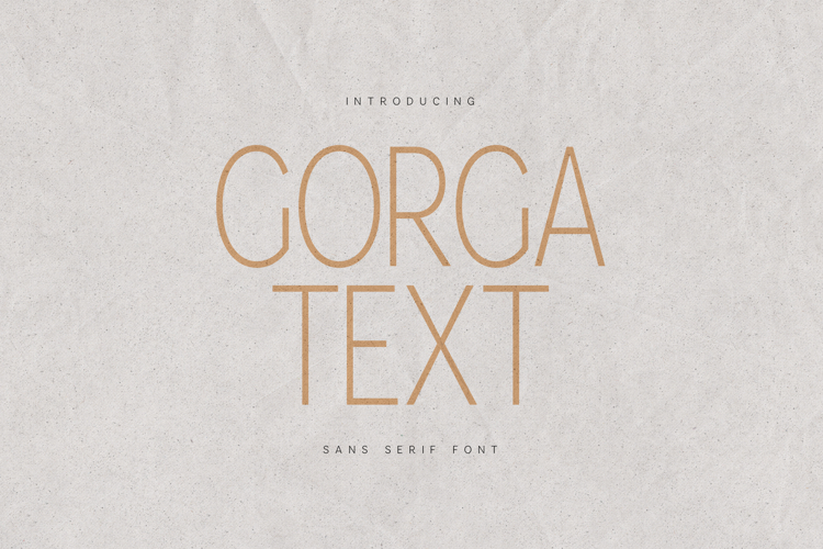 Gorga Sans Minimal Modern Sans Serif Font