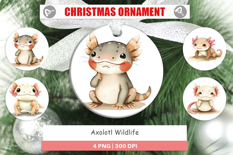 Ornament Axolotl Wildlife