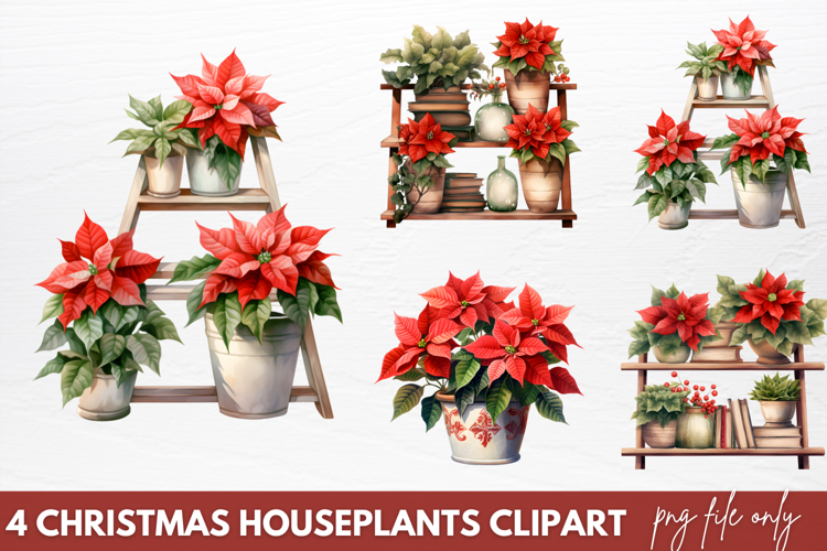 Christmas Houseplants Clipart PNG