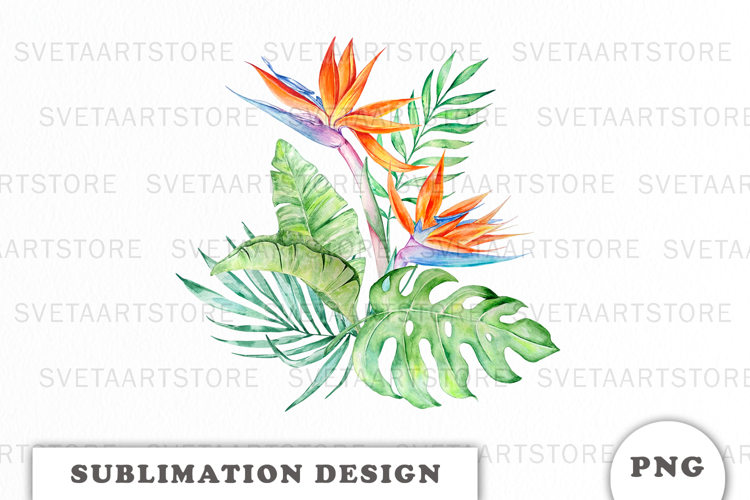 Watercolor Tropical Flowers Bouquet png