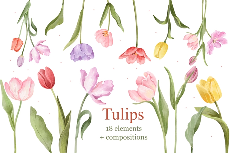 Watercolor Tulips Clipart, Spring Flowers PNG Graphics