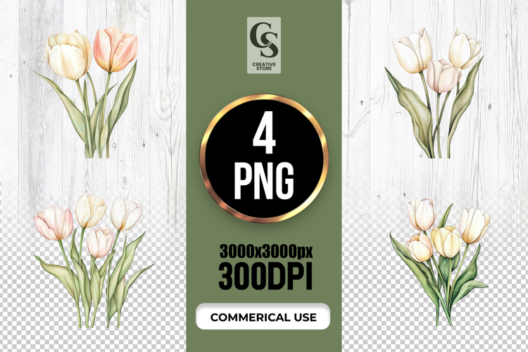 Tulip Illustration Image 2