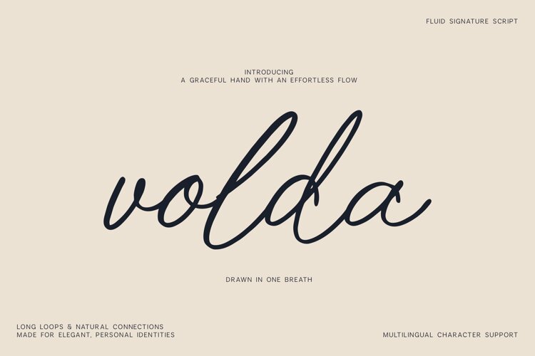 Volda Fluid Signature Script Font example image 1