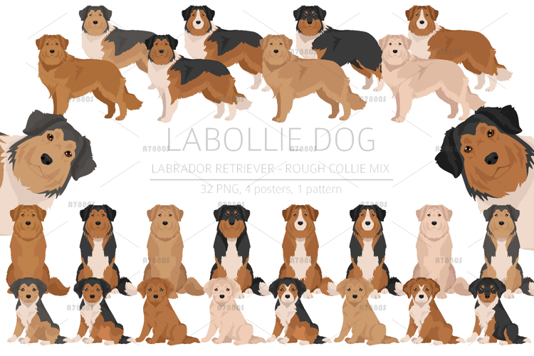 Labrador Clipart Image 18