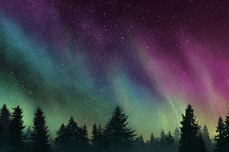 Northern Lights Night Sky Forest Background Art