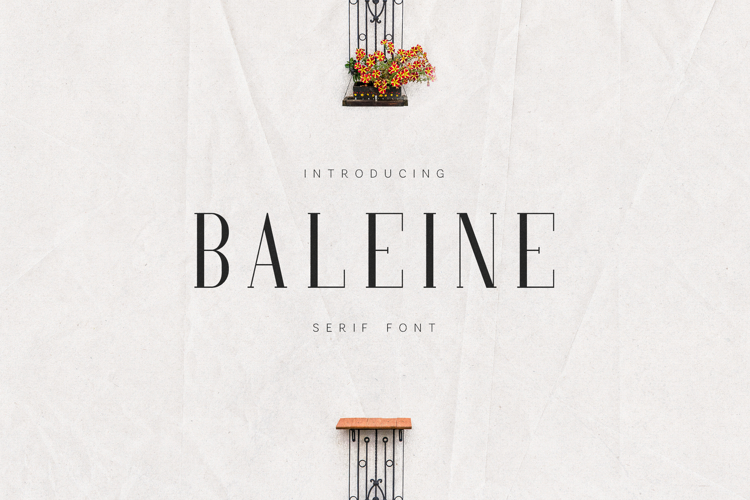 Baleine Elegant Modern Serif Font