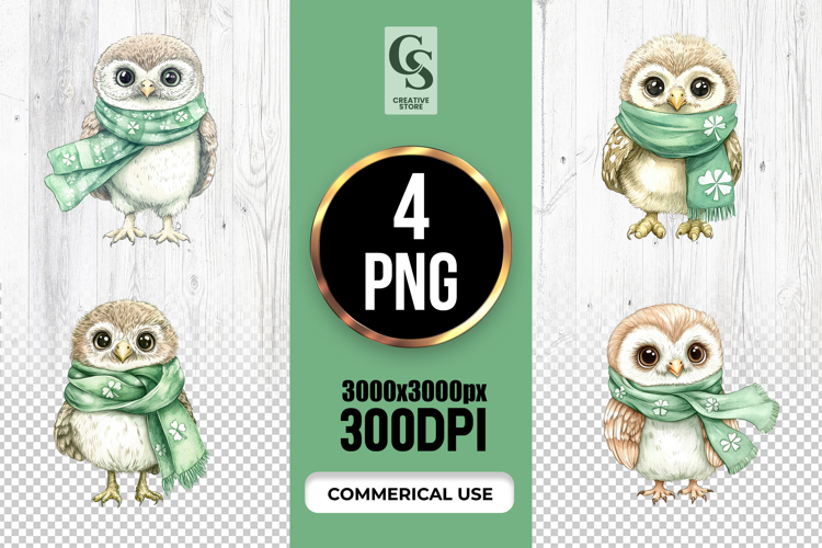 Owl Illustration Image 14