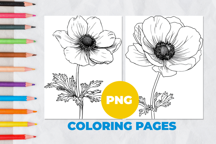 Anemone flower Coloring Pages | Coloring book