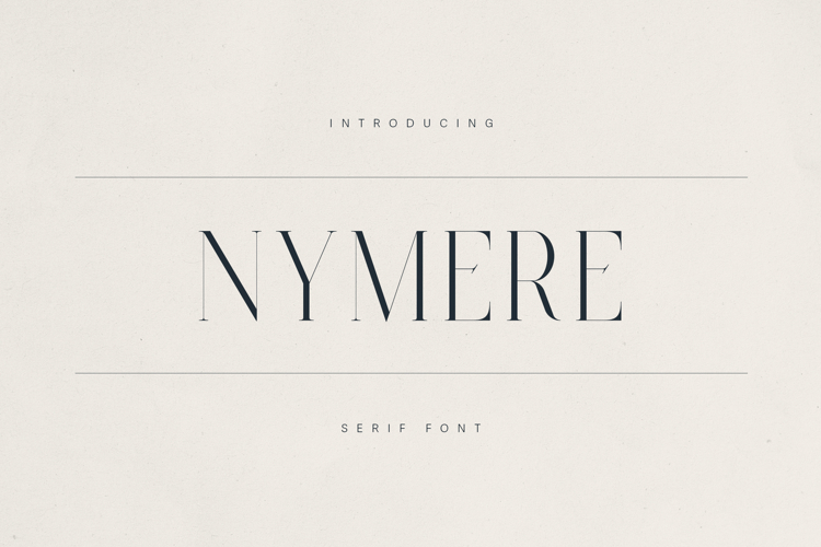 Modern Serif Font Image 9