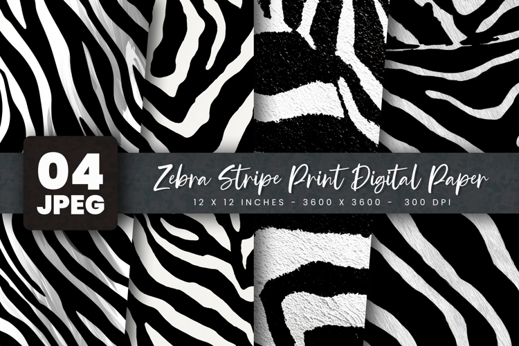 Zebra Illustration