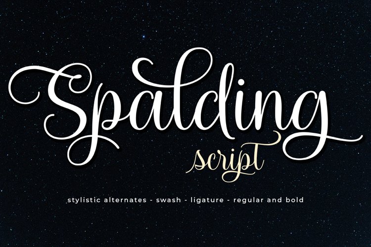 Font Collection Bundle