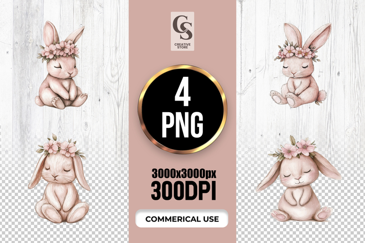 Rabbit Illustration Image 21