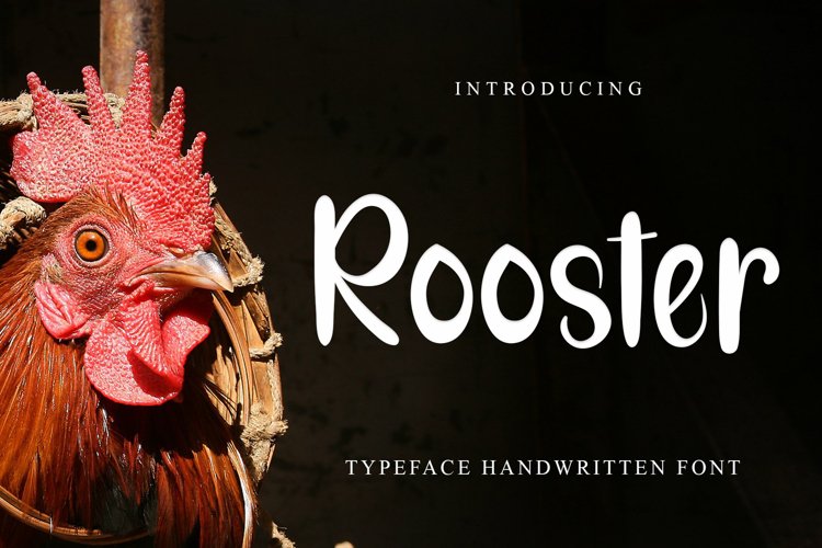 Rooster Reguler example image 1