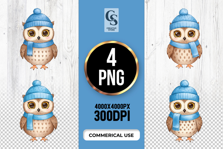 Cute Winter Owl Clipart Sublimation PNG