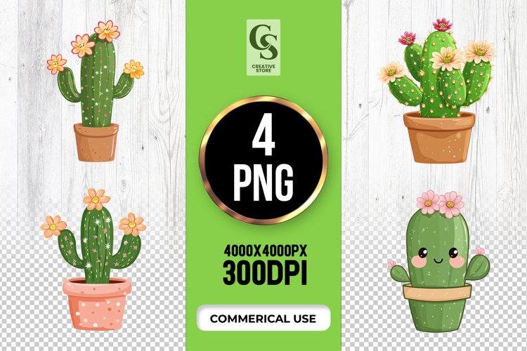 Cactus Png Image 23