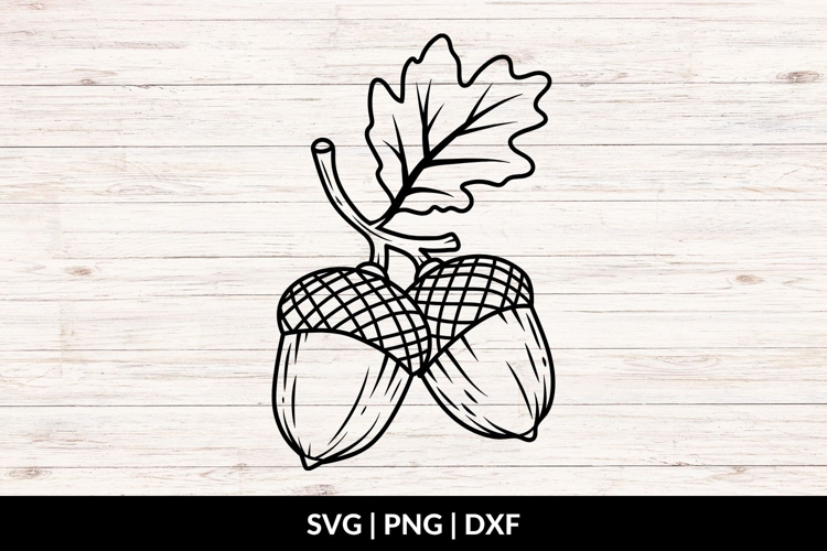 Acorns SVG, Acorn and Leaf