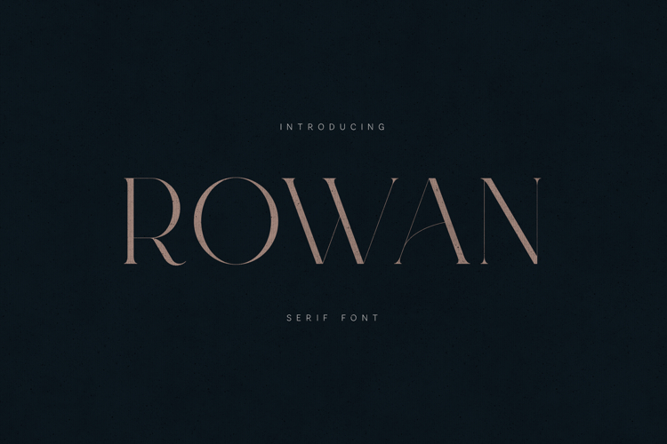 Rowan Elegant Modern Serif Font