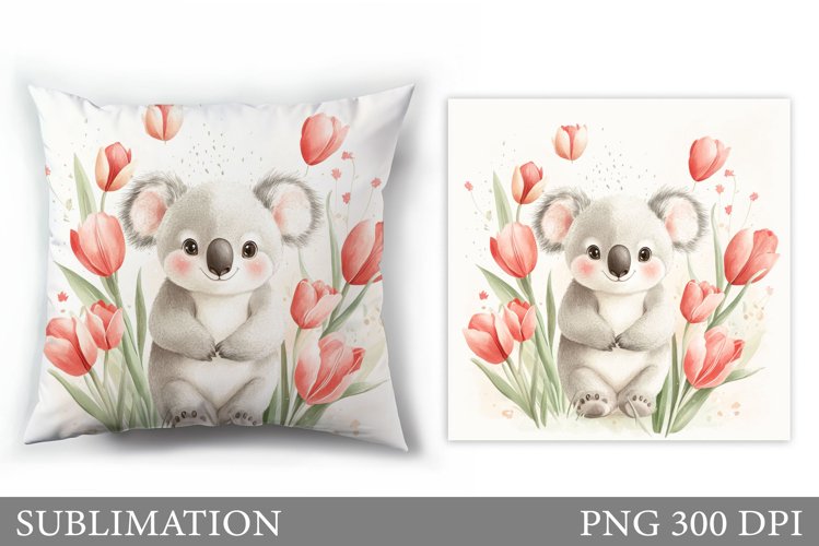 Cute Koala Pictures Image 5