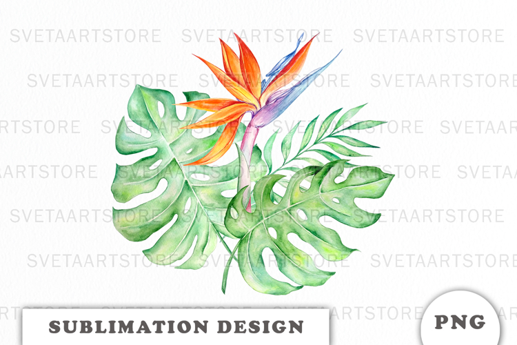  Tropical Flowers Clipart