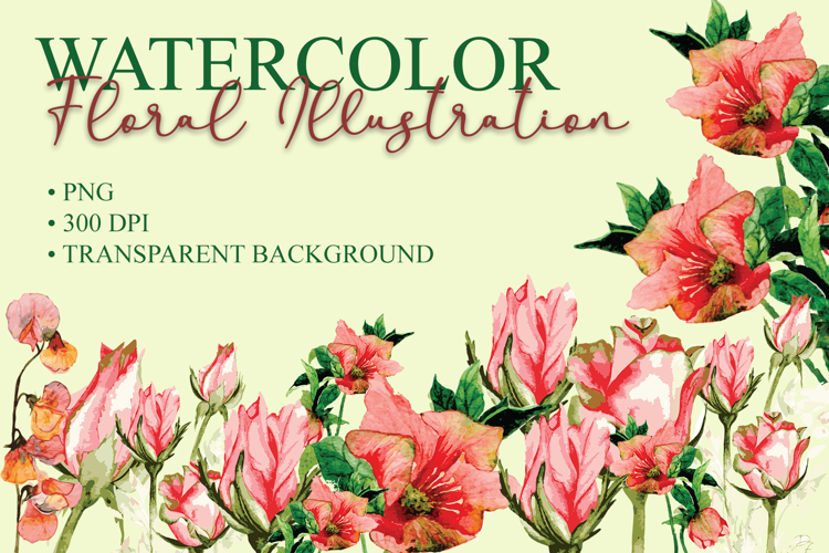 Watercolor Floral Illustration