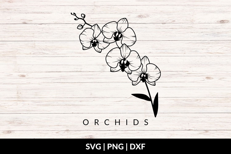 Orchid Flowers SVG