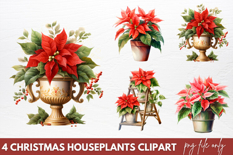 Christmas Houseplants Clipart PNG example image 1