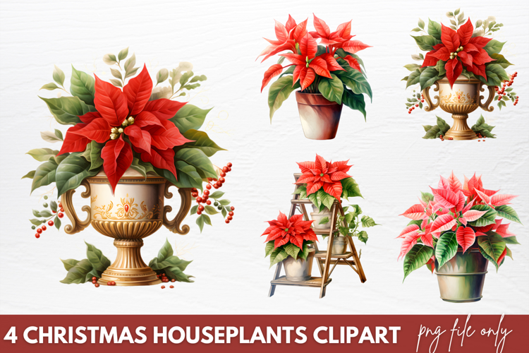Christmas Houseplants Clipart PNG