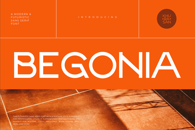 Begonia