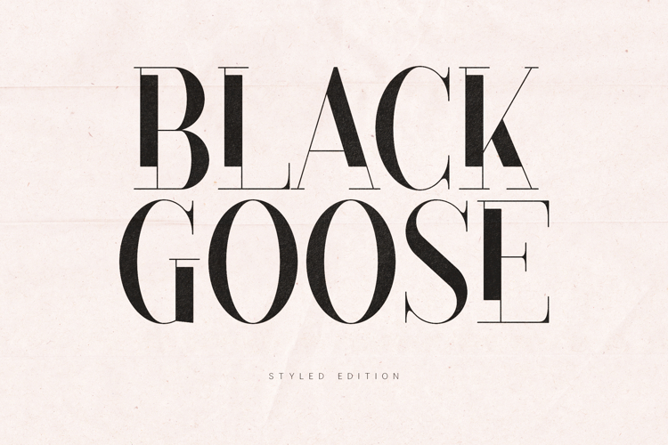 Black Goose Modern Editorial Serif Font