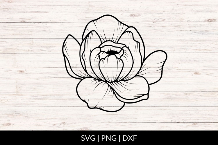 Hand Drawn Peony Bloom SVG