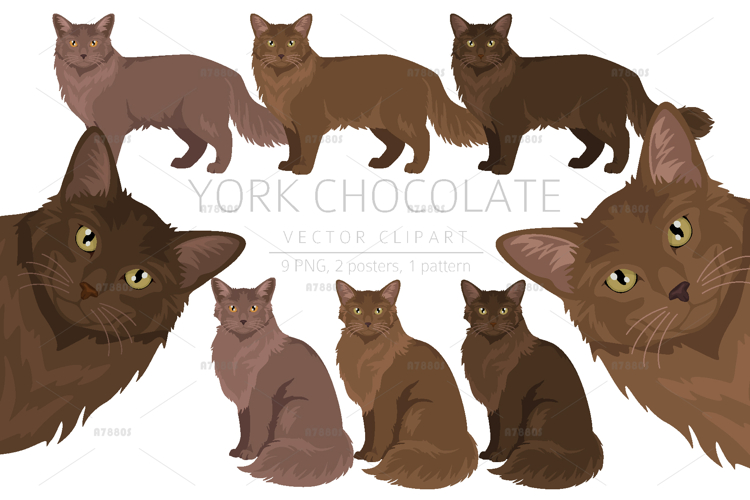 Shop Clipart Image 15