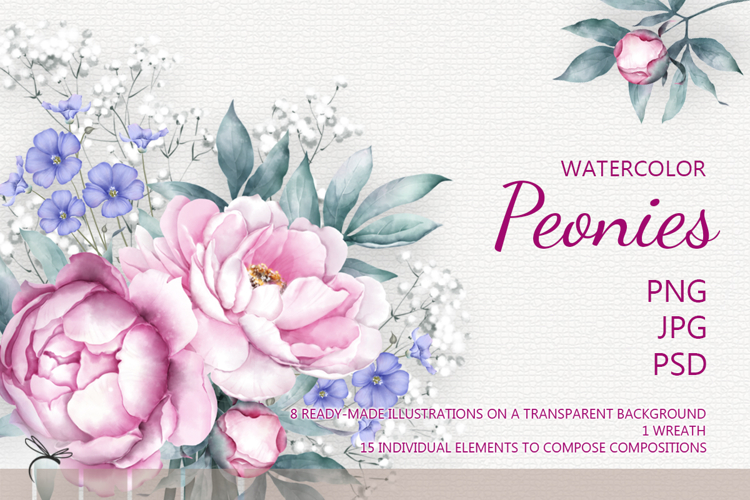 Watercolor peonies cliparts bundle