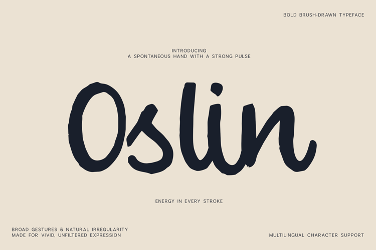 Oslin Bold Brush Script Font