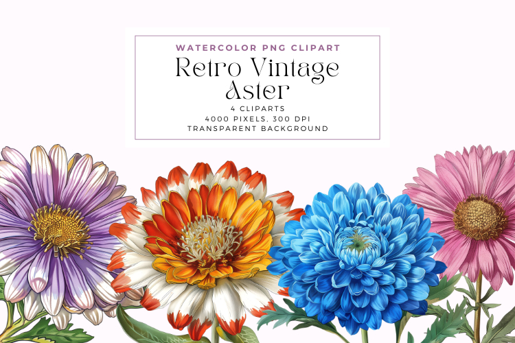 Retro Vintage Aster Clipart