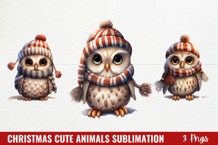 Owl Clipart Image 2