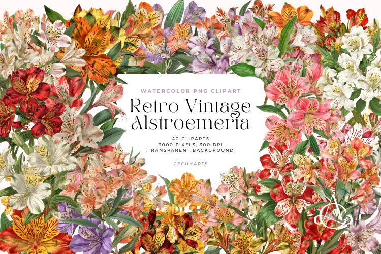 Retro Vintage Alstroemeria Flowers Clipart Bundle