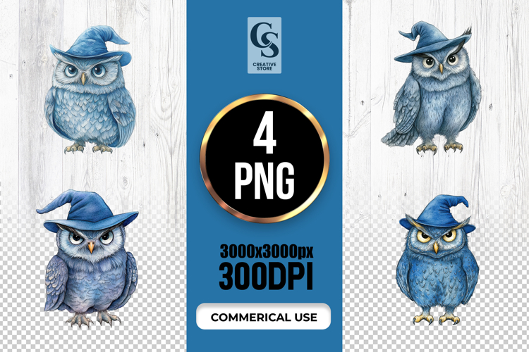 Wizard Illustration Image 2