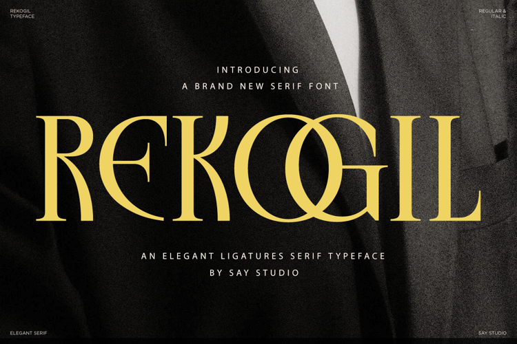 Rekogil - Luxury Serif Font for Branding