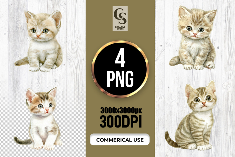 Kitten Png Image 15