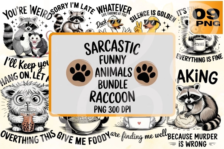 Raccoon Illustration Image 10
