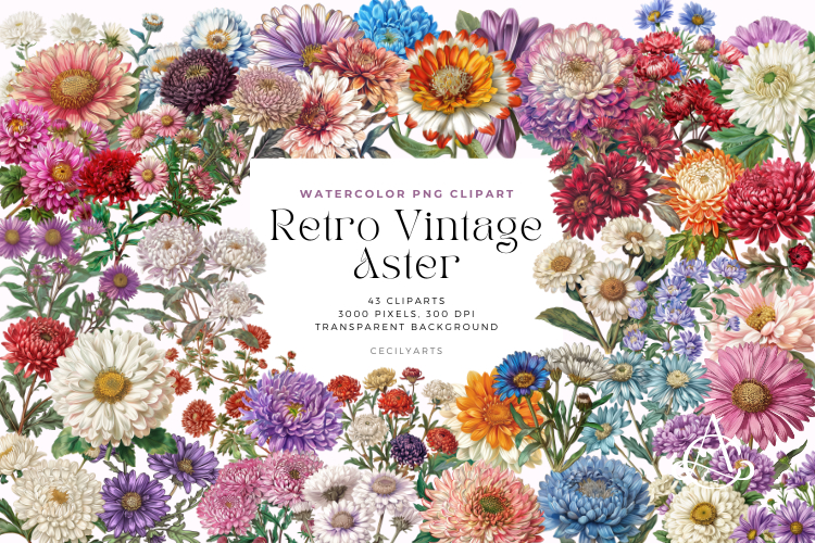 Retro Vintage Aster Clipart Bundle