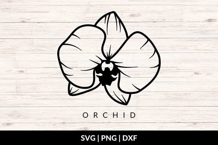 Orchid Flower SVG