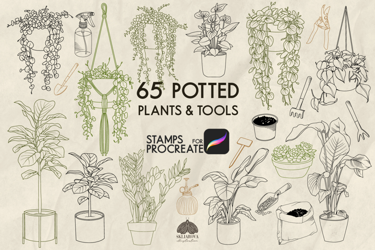Potted Plants Procreate stamps