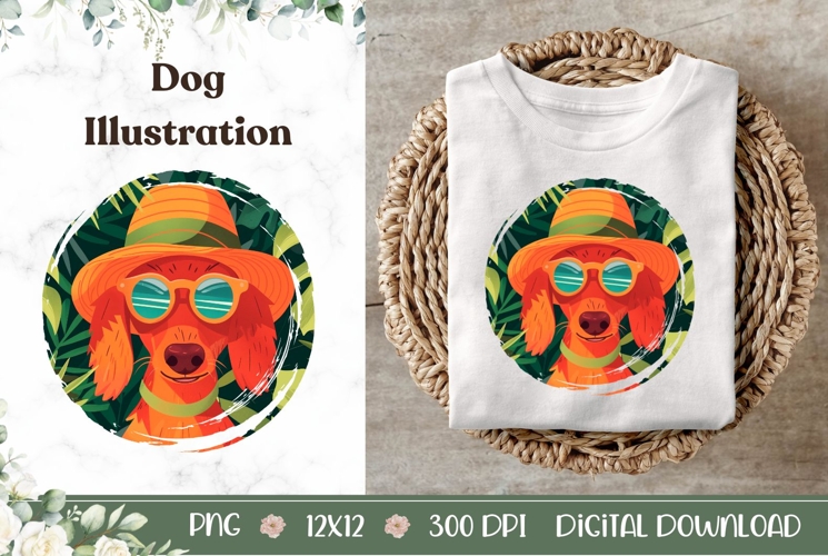 Summer Dachshund Dog Illustration, Summer Dachshund Dog PNG