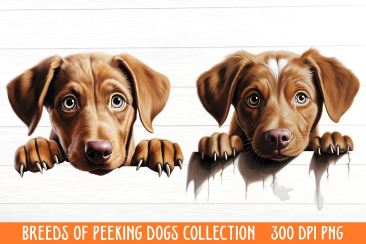 Dogs Png Image 7