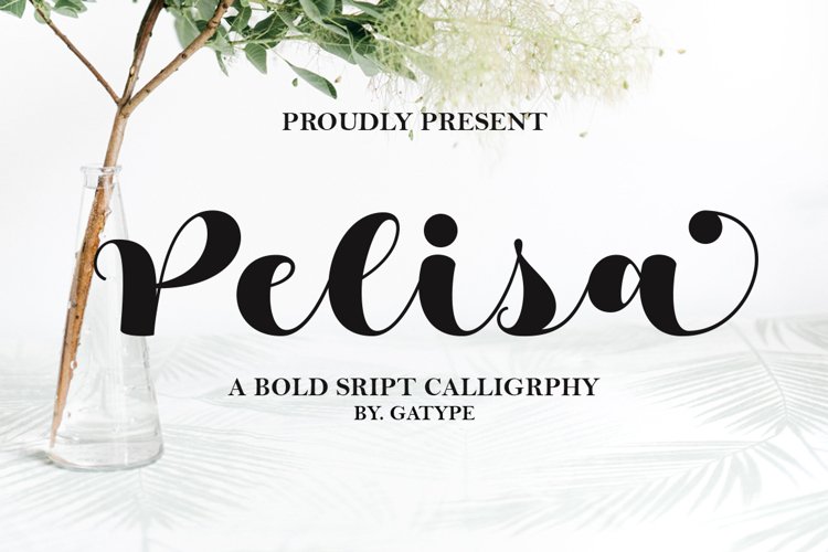 Pelisa example image 1